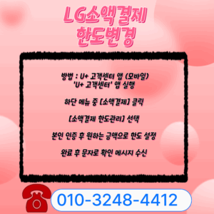 소액결제
